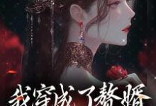 寻找能够免费阅读我穿成了赘婿文的大反派小说的平台-红梅文学
