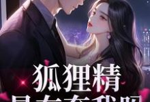 陆霆骁狐娆是哪本书的主角?狐狸精?是在夸我吗免费读-红梅文学