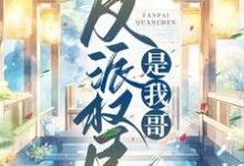 反派权臣是我哥小说,反派权臣是我哥齐妙沈韵安-红梅文学