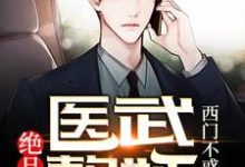 小说《绝品医武赘婿》章节阅读-红梅文学