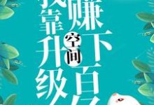完结版《九零:我靠升级空间赚下百亿》章节阅读-红梅文学