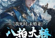 李辰风苏瑶小说《我死时,未婚妻八抬大轿和皇子成亲》在线阅读-红梅文学