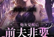 离婚后,总裁前夫非要给我跳舞这本小说在哪里可以看?哪里有免费试读章节?-红梅文学