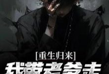 重生归来,我带老爹走上人生巅峰这本小说怎么样?免费在线阅读试试-红梅文学