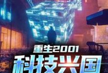 求重生2001:科技兴国,势在必得小说的全文免费阅读链接-红梅文学