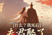 主人公盛蕊宋晏平小说什么?我死后,夫君娶了小白莲在线章节阅读-红梅文学