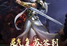 小说《灵气复苏:签到神话关系户》章节免费阅读-红梅文学