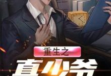 重生之真少爷要复仇陆思远安新雅,重生之真少爷要复仇章节在线阅读-红梅文学