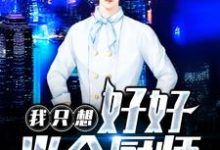 李林唐铭为主角的小说叫什么?免费看我只想好好当个厨师-红梅文学