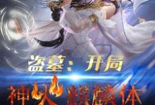 盗墓：开局神火麒麟体这本小说在哪里可以看？哪里有免费试读章节？-红梅文学