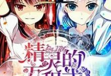 精灵的方程式免费阅读,精灵的方程式章节目录-红梅文学
