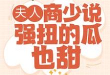 小说《夫人,商少说强扭的瓜也甜》在线章节阅读-红梅文学