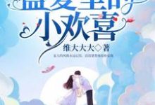 你是盛夏里的小欢喜沈夏天曾佑远小说免费阅读-红梅文学