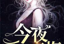 求今夜爱你无悔小说免费资源-红梅文学