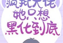 完整版的重生后，疯批大佬她只想黑化到底小说在哪里可以免费读到？-红梅文学