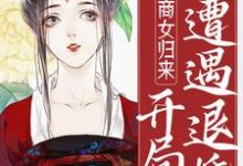 商女归来:开局遭遇退婚小说的无弹窗阅读体验,寻找免费阅读网站-红梅文学