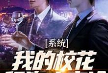 系统:我的校花舔狗太高冷小说完结了吗?在哪里可以免费读到?-红梅文学