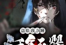 完结版《盗墓:我,沉睡三千年死婴!》免费阅读-红梅文学