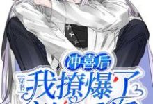 小说《穿书：冲喜后我撩爆了病娇反派》章节免费阅读-红梅文学