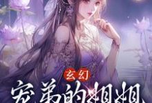 玄幻:宠弟的姐姐和坑姐的弟这本小说怎么样?免费在线阅读试试-红梅文学
