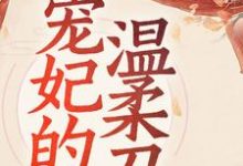 宠妃的温柔刀小说,宠妃的温柔刀在线阅读-红梅文学