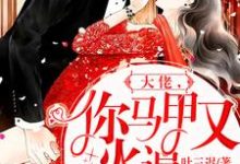 大佬,你马甲又火遍全球了免费阅读,大佬,你马甲又火遍全球了徐宁萧墨寒徐若雪宁琼月-红梅文学