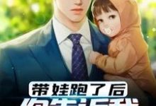 叶玄沈小柒小说在哪里可以看-红梅文学