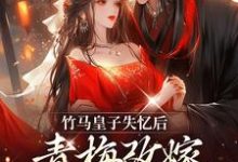 竹马皇子失忆后,青梅改嫁太子了小说的无弹窗阅读体验,寻找免费阅读网站-红梅文学