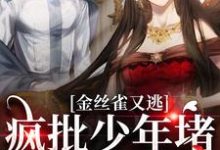 《金丝雀又逃,疯批少年堵巷红了眼》全集免费在线阅读(沈清沅祝怀砚)-红梅文学