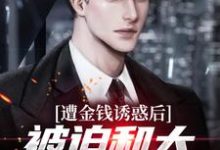 遭金钱诱惑后,被迫和大小姐领本本小说最新更新在哪里?免费在线看-红梅文学