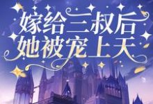 嫁给三叔后她被宠上天最新章节,嫁给三叔后她被宠上天免费阅读-红梅文学