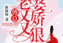 傅总,你老婆又娇又狠小说阅读,傅总,你老婆又娇又狠完结版-红梅文学