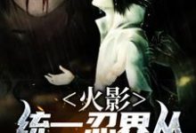 火影:统一忍界从商人开始(钱呈)在线免费阅读-红梅文学
