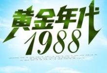 完结版《黄金年代1988》章节阅读-红梅文学