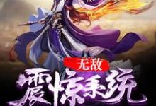 求秦冲秦雪晋无心小说免费资源-红梅文学