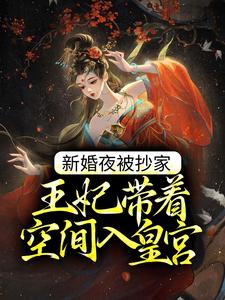完结版《新婚夜被抄家，王妃带着空间入皇宫》章节目录在线阅读
