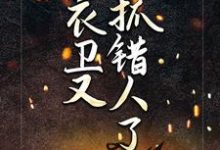 李小牙王佳人小说在哪里可以看-红梅文学