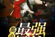免费在线阅读都市最强奶爸小说的正规网站有哪些?-红梅文学