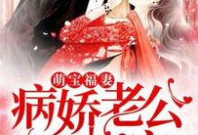 黎煌黎煌的故事在哪本书里?免费阅读萌宝福妻,病娇老公超会宠-红梅文学