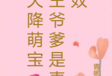 求天降萌宝:王爷爹是妻奴小说的全文免费阅读链接-红梅文学