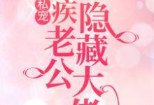 豪门私宠:残疾老公竟是隐藏大佬 叶蓁夜司寒小说在线章节免费阅读-红梅文学