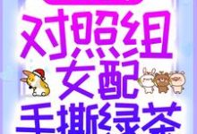 成柚戚承晏是哪本书的主角?重生七零:对照组女配手撕绿茶免费读-红梅文学