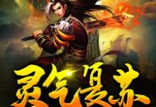 灵气复苏:从获得霸王模板开始无敌免费阅读,灵气复苏:从获得霸王模板开始无敌章节在线阅读-红梅文学
