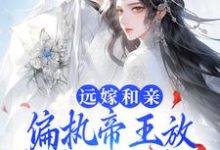 主角叫宋溶月景泽辰小说远嫁和亲,偏执帝王放不开公主的手章节免费阅读-红梅文学