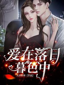 主人公叫白欣蕾辰文霁的小说爱在落日暮色中在线阅读章节