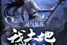 灵气复苏:我土地爷签到!小说最新更新在哪里?免费在线看-红梅文学