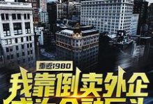 马玉林为主角的小说好看吗?免费读重返1980:我靠倒卖外企成为金融巨头-红梅文学
