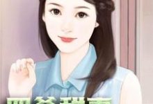 四爷甜妻疯狂宠小说,四爷甜妻疯狂宠免费阅读-红梅文学