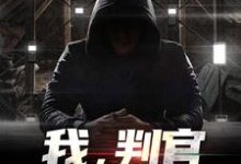 我,判官,军统界第一人林牧小说在线章节免费阅读-红梅文学