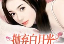 《抛弃白月光,我爱上了童养媳》小说主角柯望巷钟昭章节章节免费在线阅读-红梅文学